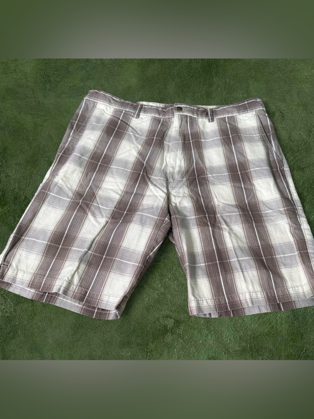 Caribbean Light Pink Button-Front Shorts